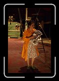apreslapluie 8 * 2592 x 3872 * (3.81MB)